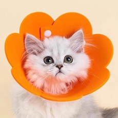 반려동물 초경량 부직포 펠트 넥카라 강아지 고양이 깔대기 동물병원 중성화, 분홍색 M, 1개