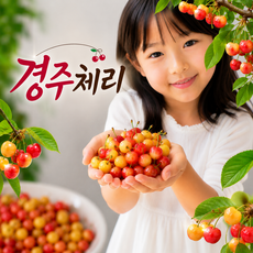 [방송방영] 경주 국산 체리 농가직송, 1개, 일반 경주체리 1kg