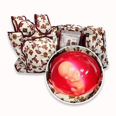 태동형 임신체험복 임산부체험 실습모형 5kg