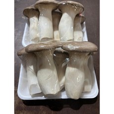 버섯팡팡 새송이버섯 1kg 직접경매, 1개