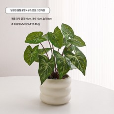 미니 인조 화분 세트 다용도 데스크 가성비 책장 인테리어 식물 촬영 소품, 1개, 2_마후연 그린 식물 모조