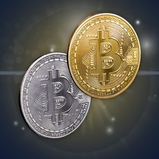 현숙상회 코인 기념주화 골드코인, 실버