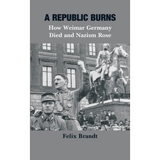 (영문도서)A Republic Burns: How Weimar Germany Died and Nazism Rose Hardcover, Vij Books, English, 9789390349494