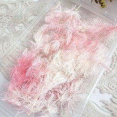 台灣出貨 裝飾 幹花束 花束永生花干花蓬萊松小份做手工禮物浮游暴力熊配草配屬情人母親節日, 粉白漸變約4克左右