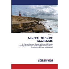 (영문도서)Mineral Trioxide Aggregate Paperback, LAP Lambert Academic Publis..., English, 9786208224912