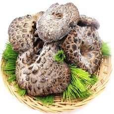 (청림송이 능이) 자연산 능이버섯/냉동(특품), 1개, 냉동능이/B급(대)/1kg