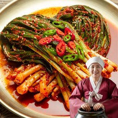 [당일제조] 더좋은 전라도 파김치 하루100개한정, 1개, 1kg