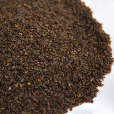 볶음흑메밀 500g 흑메밀 메밀 메밀차 볶아서 더 고소해요 쪽빛누리, 1개입, 1개