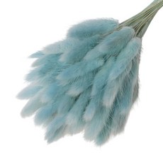 브랜드없음 로맨틱노벰버 프리저브드 라그라스 (50송이), 스카이