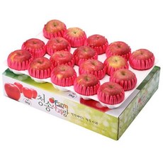 우체국쇼핑 청송사과 선물세트 선물4호4kg 15-17과, 1