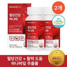 혈당 영양제 바나바잎추출물 헬시위듀 돼지감자 뽕나무잎 분말, 2박스, 45g