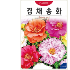 ks 겹채송화꽃씨앗 겹꽃이 피는 채송화 겹채송화종자 1000립, 1개