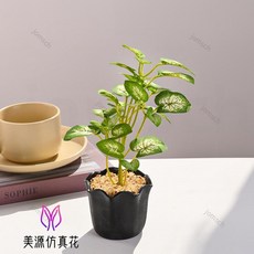 仿真綠植小盆栽 仿真綠蘿 芋葉 爬山虎 仿真植物盆景 辦公室綠植 假綠植 客廳書房假綠植擺件辦公桌面裝飾品, 4642   仿真綠植小盆栽（塑料花盆）, 1個