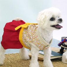 바르시 반려견 한복 여 XL 고양이한복