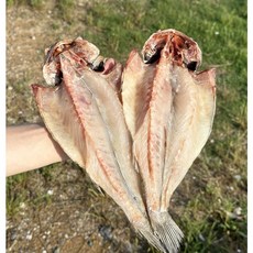 명절 반건조 생선선물세트 4호 민어3미+병어3미+열기5미, 1박스