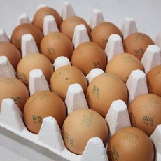 특란 원쁠등급 무항생제 날계란 농장직송 달걀, 1개, 60구