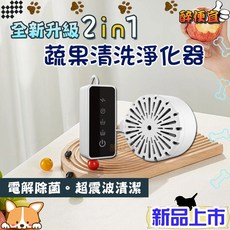 醉便宜 蔬果清洗淨化器 電解超震波清洗機 水果海鮮蔬果洗菜餐具