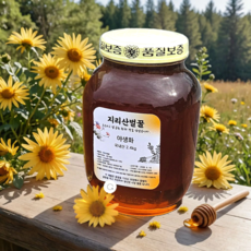 꿀 국내산 벌꿀 야생화꿀 지리산 벌꿀, 1개, 2.4kg