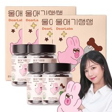 디어랩스 강아지 울애기쌩쌩 노견 눈 피부 관절 면역 장 종합영양제, 60정, 4개
