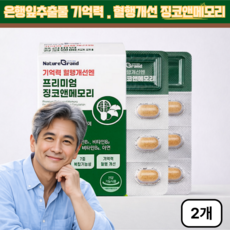 징코 은행잎추출물 기억력 혈핼개선 비타민B군 아연 영양제, 2개, 30정