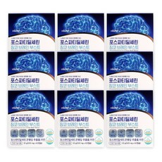 포스파티딜세린 징코 식약청인증 PS 포스타티딜세린 포스파트딜세린 300mg 두 뇌 기억력 인지력 피에스 브레인, 9개, 60정
