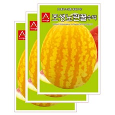 아시아종묘 조생노란꿀 수박 씨앗 10립, 1개