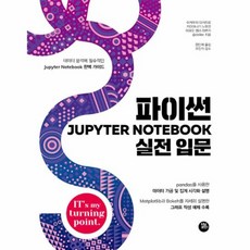 파이썬 Jupyter Notebook 실전 입문, 상품명