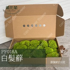 PF018A 白髮蘚 苔蘚 模型草地 原裝/盒, 1個, 52草綠