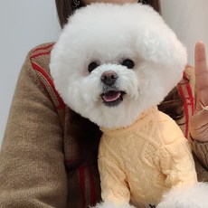 까 긴팔 꽈배기 니트, 크림오렌지, 1개