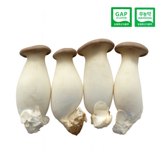 [GAP인증/무농약] 청도 그린피스농장 친환경 새송이버섯(농장 직배송), 3세트, 400g