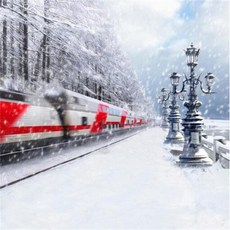 스튜디오배경지 유튜브 설산 링조명 배경 배경지 배경천, 2x1.5m, 1개, 로터스루트컬러