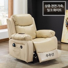 루미에뜨 거실 리클라이너 1인용 소파 리얼가죽 전동식 멀티기능 마사지 네일케어 컴퓨터 사용 홈시네마 체어, 11 수동앉기/눕기/각도잠금없음