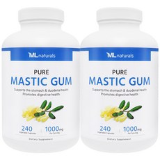 마이라이프 내추럴스 매스틱검 1000mg, 240정, 2개