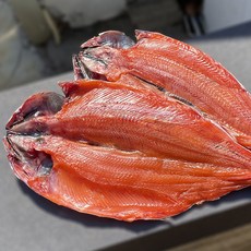 국산 반건조생선 참송어 바다송어 조림 생선구이 송어 아이들반찬 단백질음식, 1개, 송어특대(600g)내외