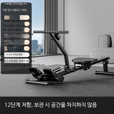 루미에뜨 가정용 로잉 머신 유압식 수저항 공기저항 실내용 강화형 다이어트 운동기구, 2_챔피언고급12단저항, 단일 모델