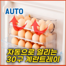 꿈꾸는아재 계란 트레이 보관함 30구, 그린, 1개
