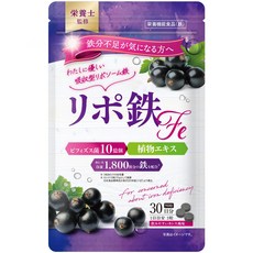 Fe [영양사 감수] 점부 대관당 제약 리포솜 철 헴 철 아연 엽산 철분, 1개, 1g