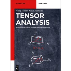 (영문도서) Tensor Analysis Paperback, de Gruyter, English, 9783110404258