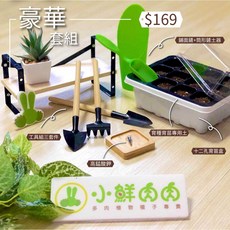 【小鮮肉肉】播種豪華套組, 1個