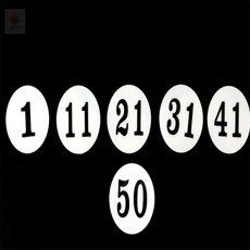 하디컬렉션 1P 원형 번호판 1~50 좌석번호스티커, 10