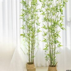 실내외 인조 대나무 조경 실내장식 화분 인테리어, 1개, 3m 세밀 수경 대나무
