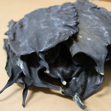 자연애 뿌리다시마 300g, 1개, 1g