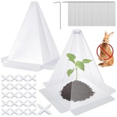 식물을 위한 니우헤 정원 클로치 20팩 플라스틱 소형 식물 묘목 보호대 40개의 금속 말뚝이 있는 재사용 가능한 클리어 벨 커버 태양 서리 달팽이 새를 방지하는 미니