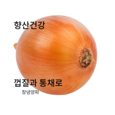 (홍열팜) 당뇨 고지혈증영양제 양파즙, 30개, 110ml