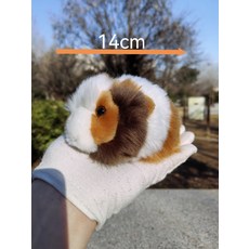 인형 기니피그 귀여운 선물 봉제 장난감 동물, 1개, 1_14cm 소형 올리브 화이트, 14cm