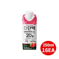 빙그레 더단백 드링크250ml 딸기맛 단백질드링크/우유단백질/무배, 250ml, 16개