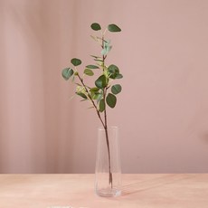 모던하우스 유칼립투스 스프레이 65cm, 그린, 1개