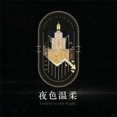 《重返未來:1999》夜色溫柔微章胸針琺瑯動漫遊戲周邊小眾, 1個, 金屬微章