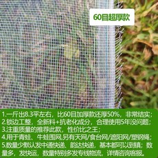 防蟲網罩 果園蓮霧臍橙養殖圍網