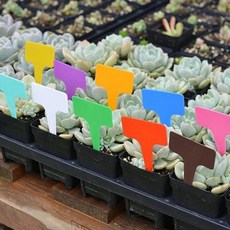 다육 꽃 간판 화분 카드 원예 라벨, 1개